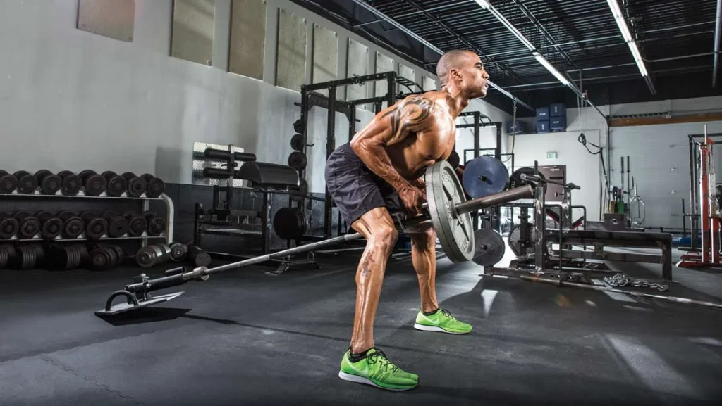 Back Exercises with Barbell