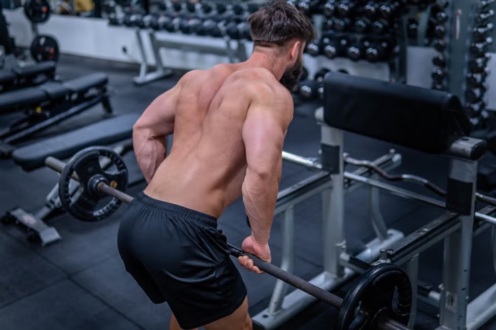 Bent Over Rows for a Thicker Back