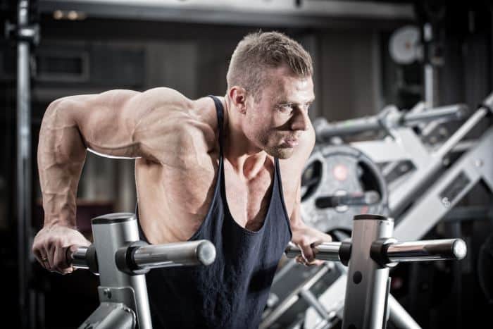 Muscular Endurance Exercises: Dips