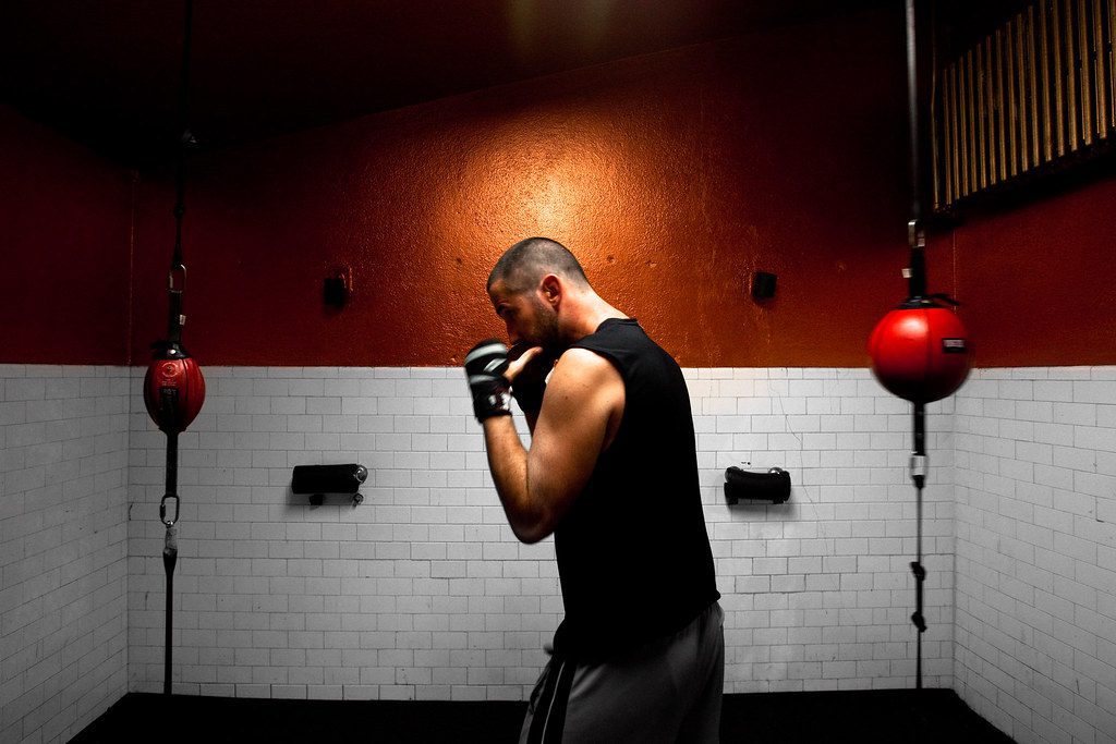 The 8 Best Punching Bag for Cardio Workout in 2022