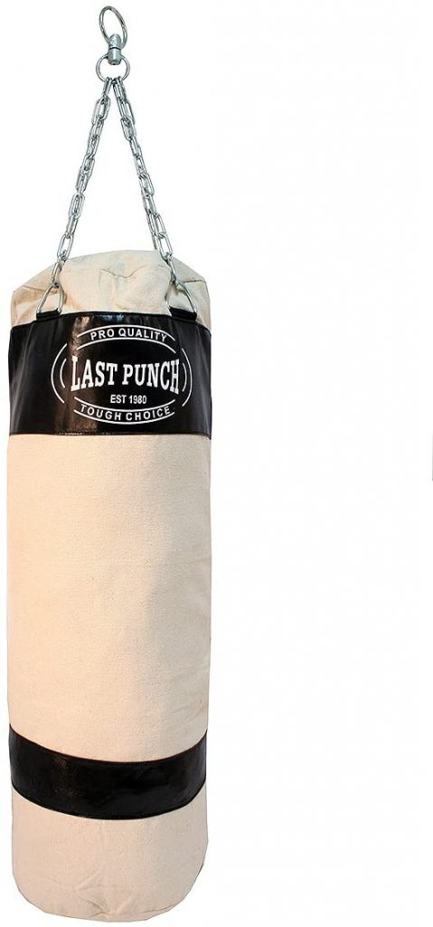 best punching bag under $100