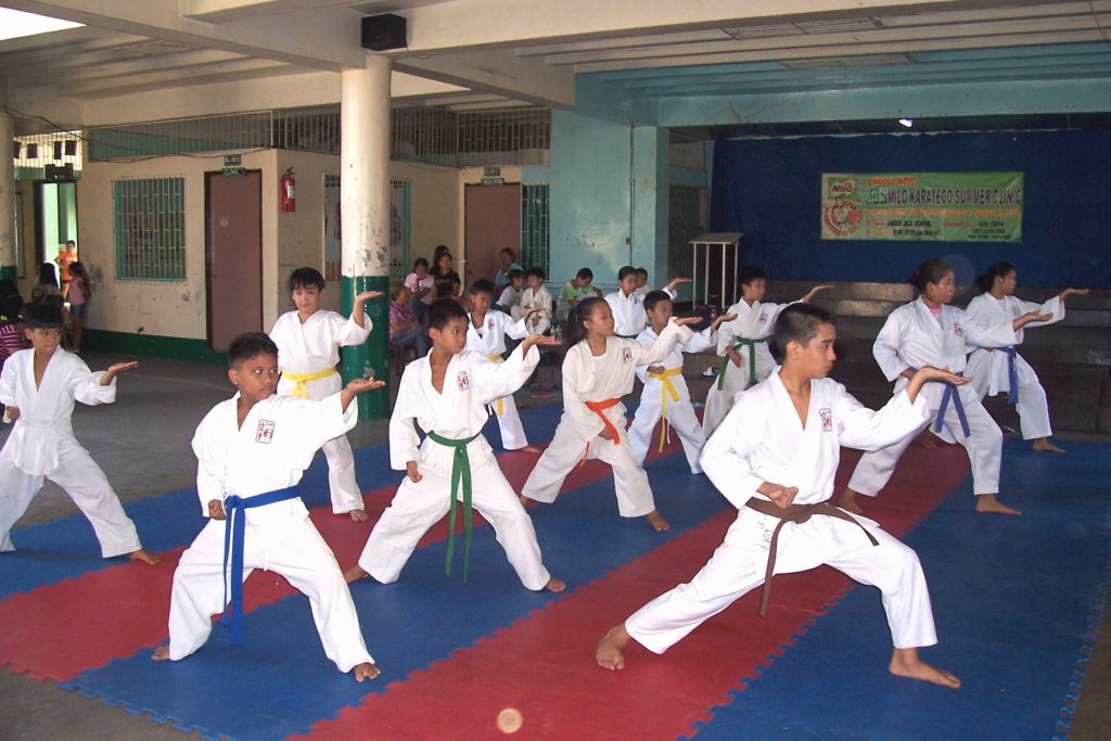 reasons you should enroll your child in martial arts