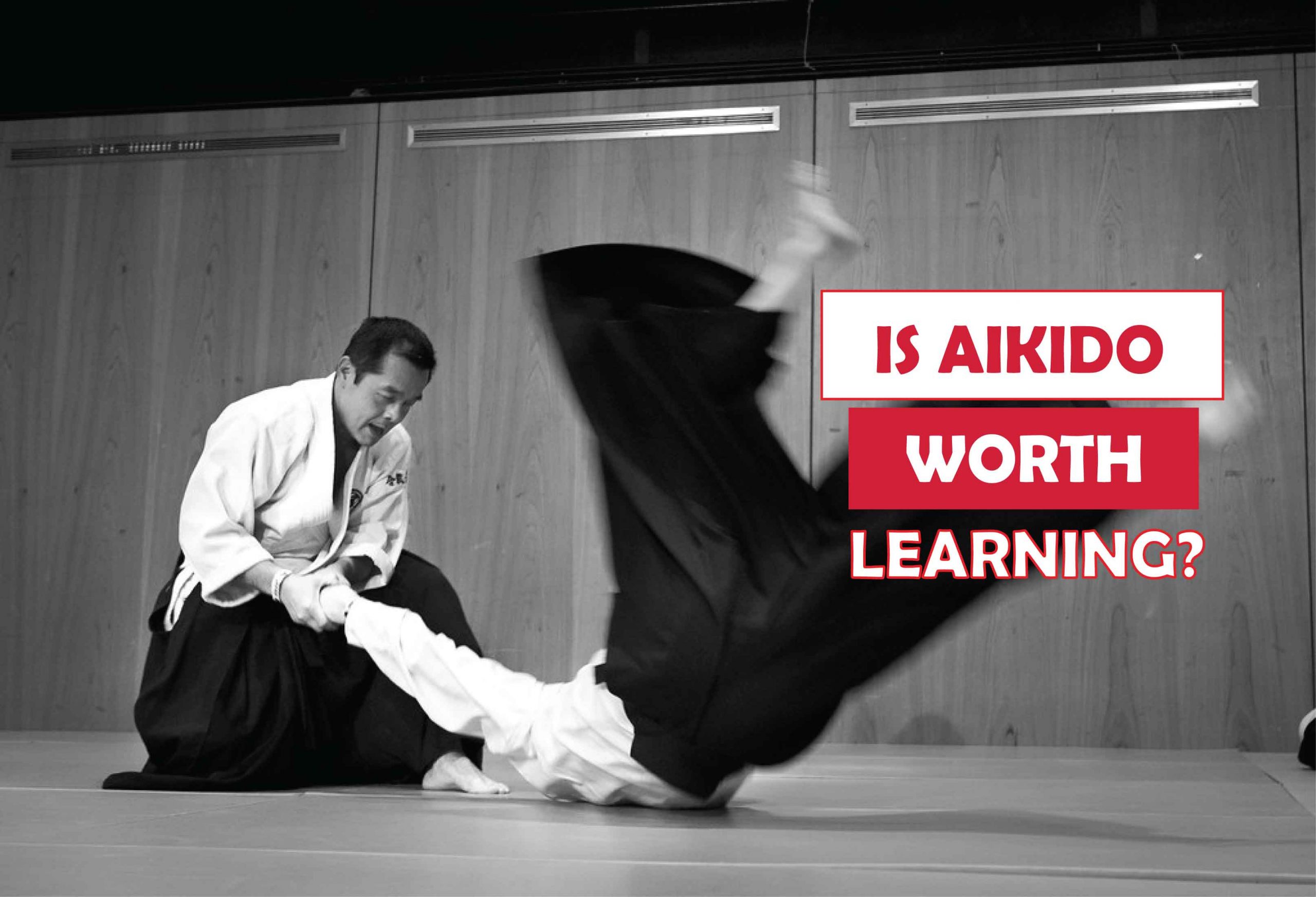 Is Aikido Worth Learning? Comparison & Benefits