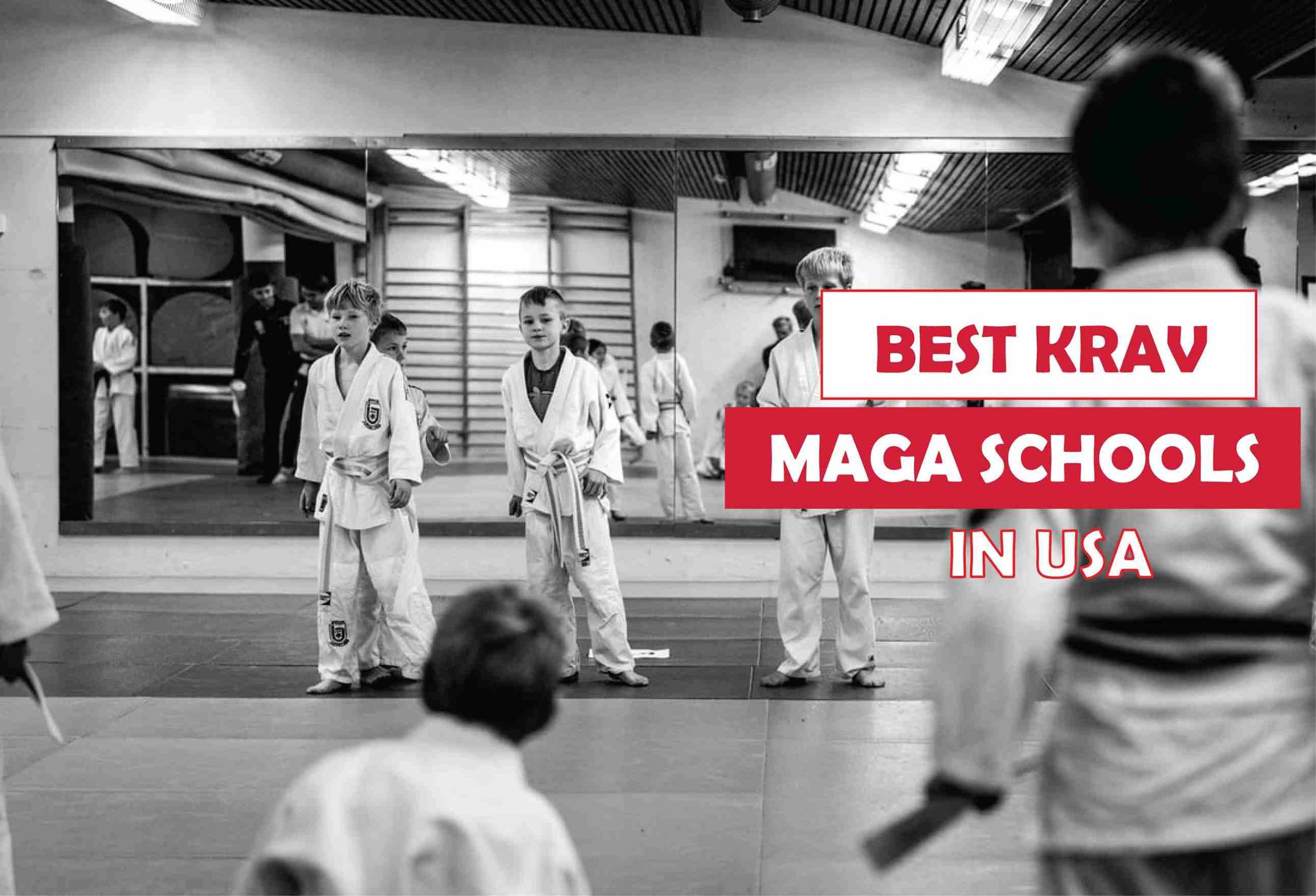 Top 3 Best Krav Maga Schools in USA