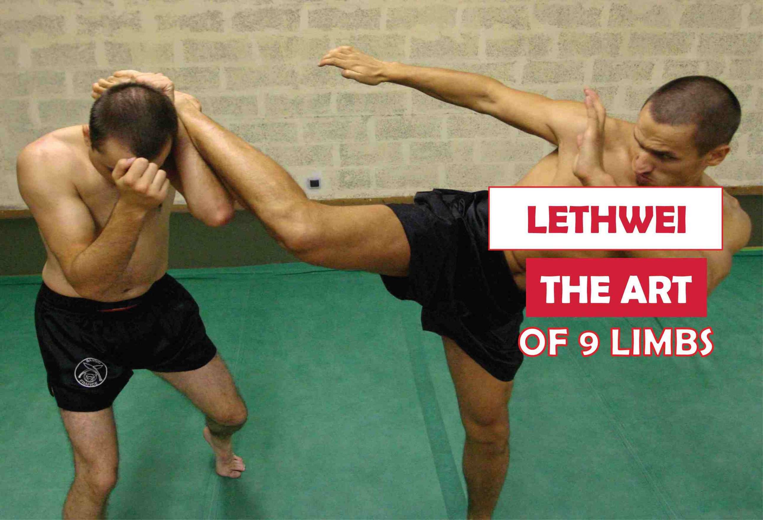 What is the Lethwei – The Art of 9 limbs