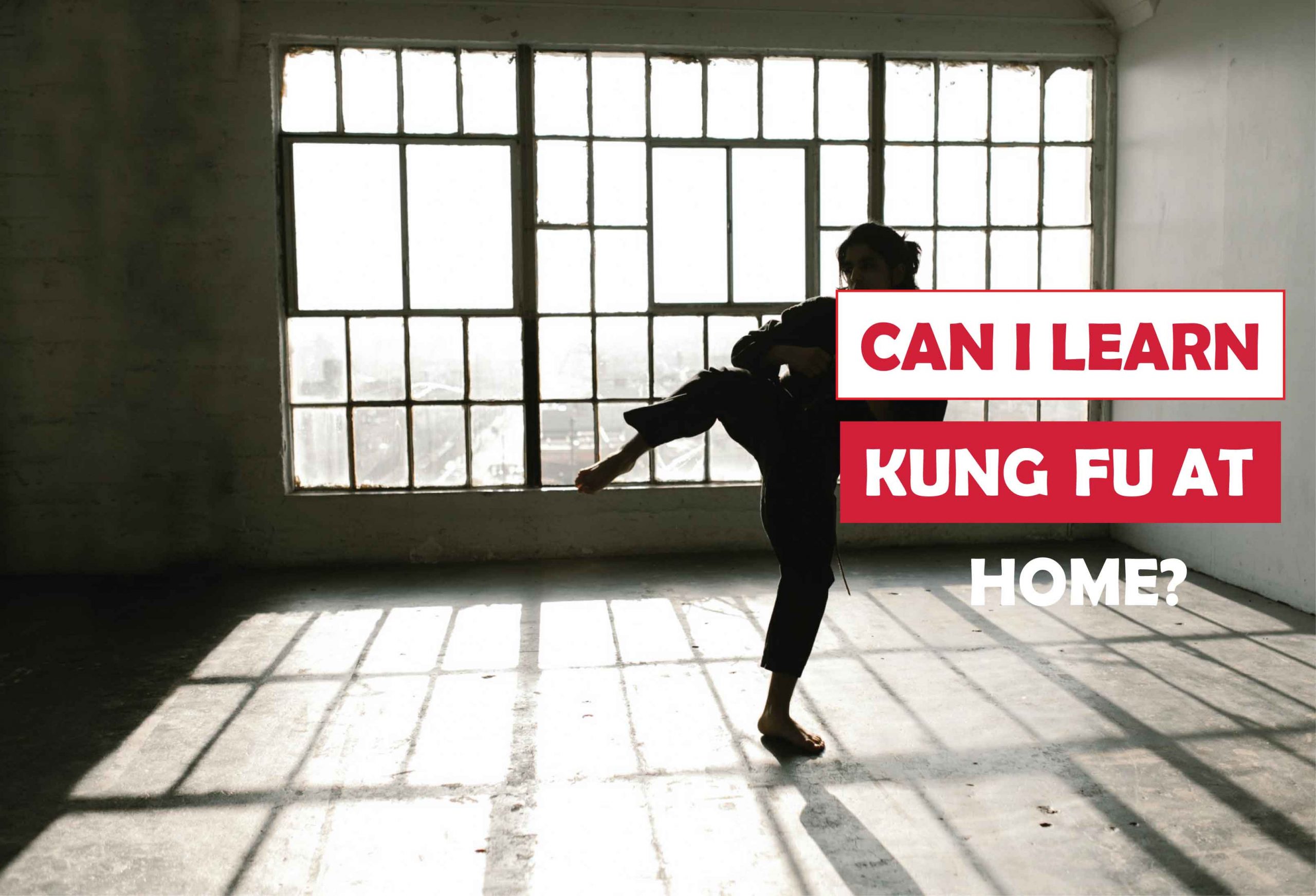 Can I Learn Kung Fu at Home in 2022?