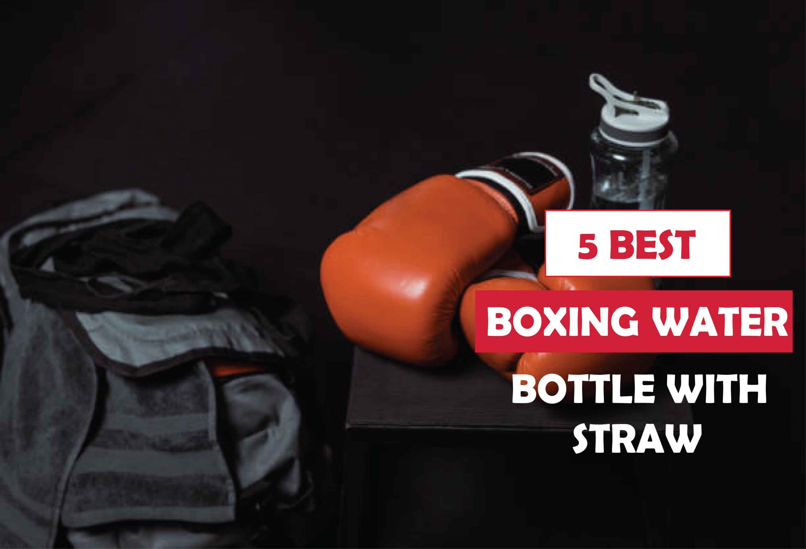 5 Best Boxing Water Bottle with Straw in 2022
