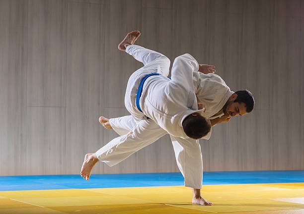 judo or jiu jitsu for self defense