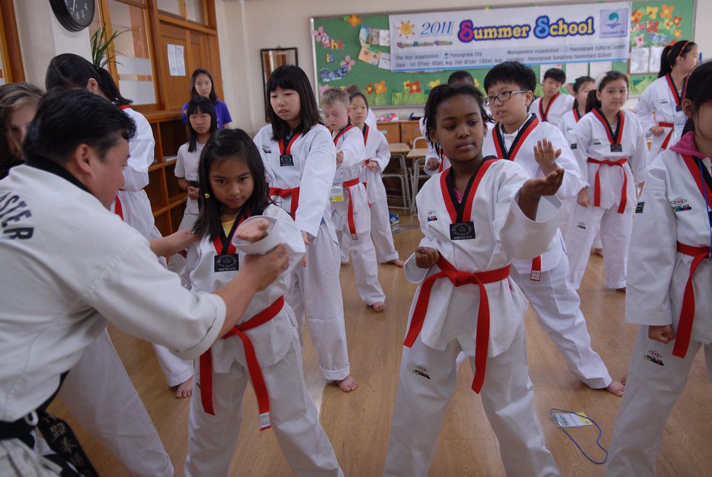 benefits of martial arts for students