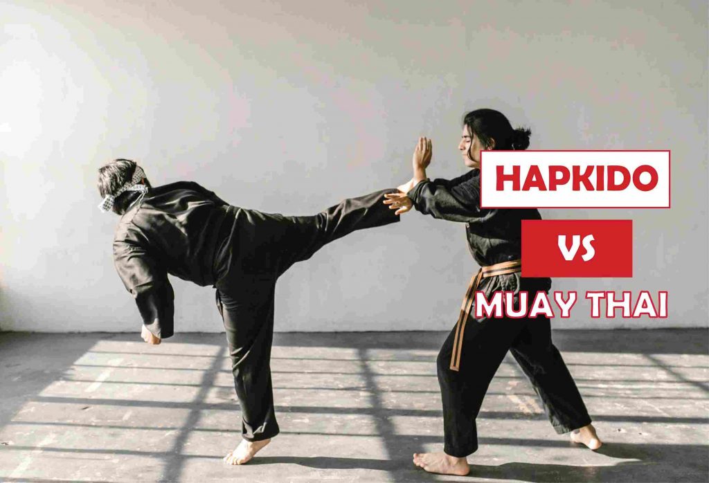 Hapkido Vs Muay Thai-A Better Self-Defense Way
