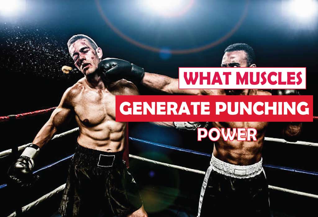 What Muscles Generate Punching Power More