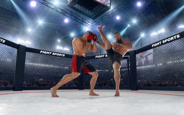MMA FIGHTER VS STREET FIGHTER