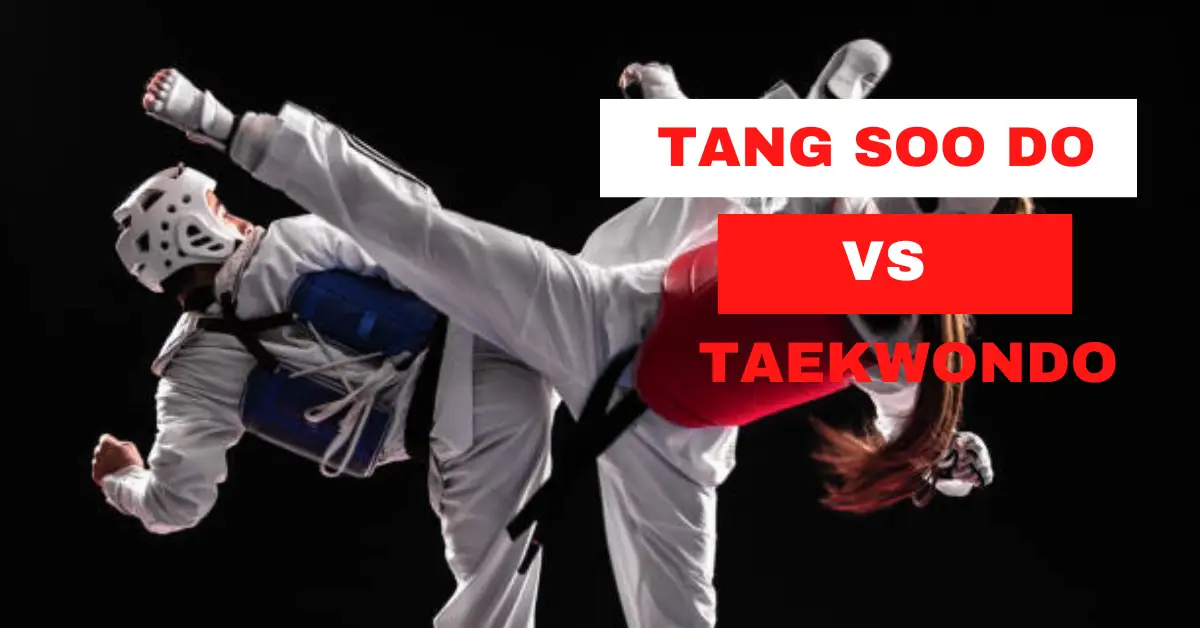 Ultimate Clash of Tang Soo Do vs. Taekwondo