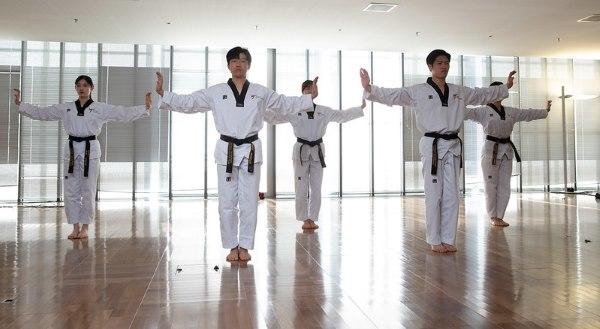 Tang Soo Do vs. Taekwondo