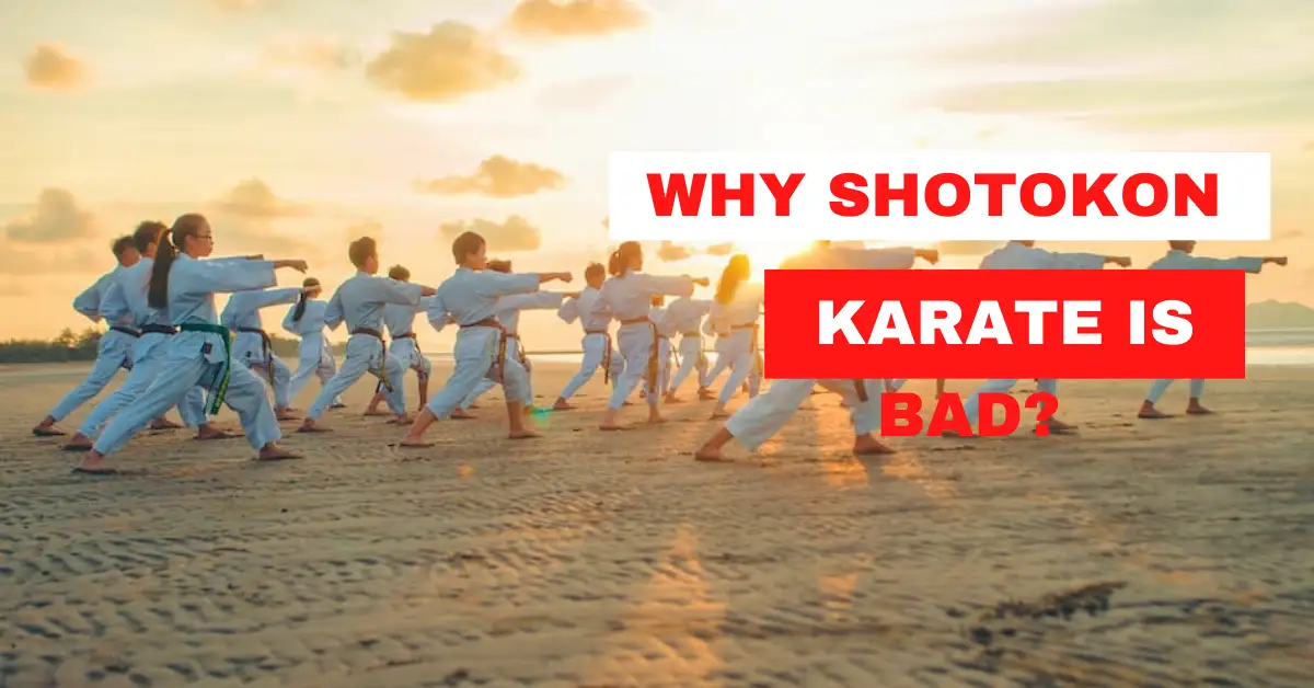 5 Astonishing Reasons Why Shotokan Karate Is Bad