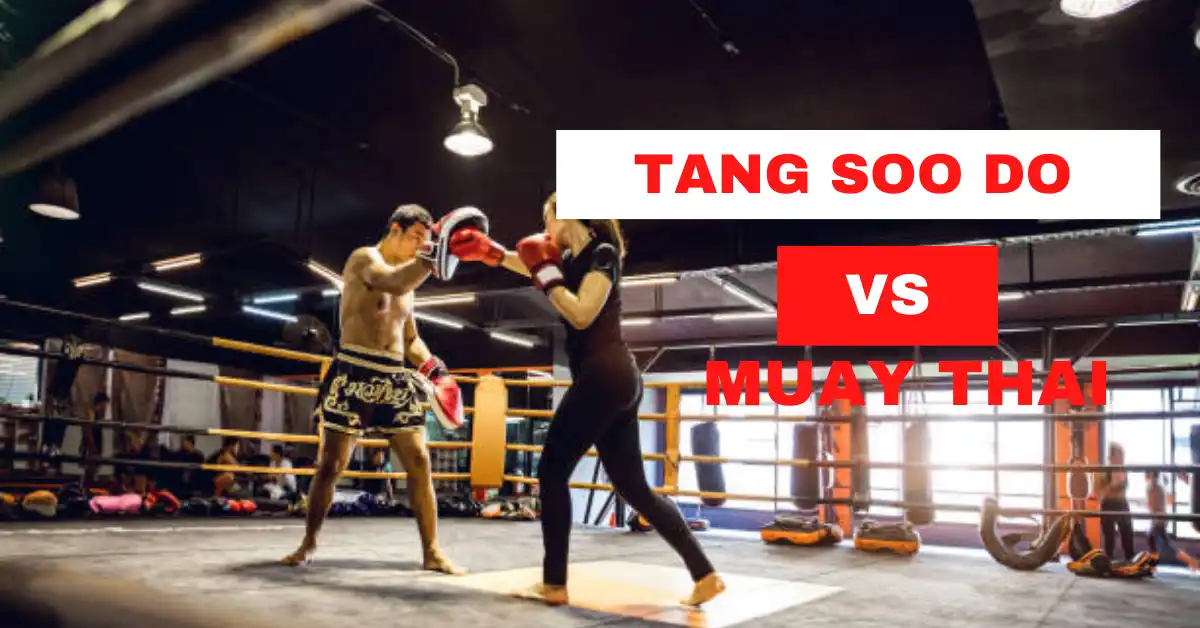 The Ultimate Tang Soo Do vs. Muay Thai Clash
