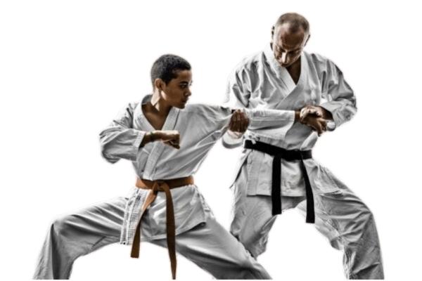 Why Shotokan Karate Is Bad