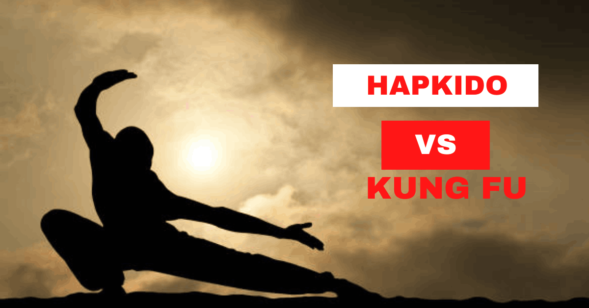 Hapkido vs Kung Fu: Which One is Better?