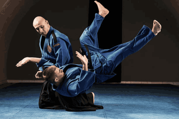 Hapkido vs kung fu